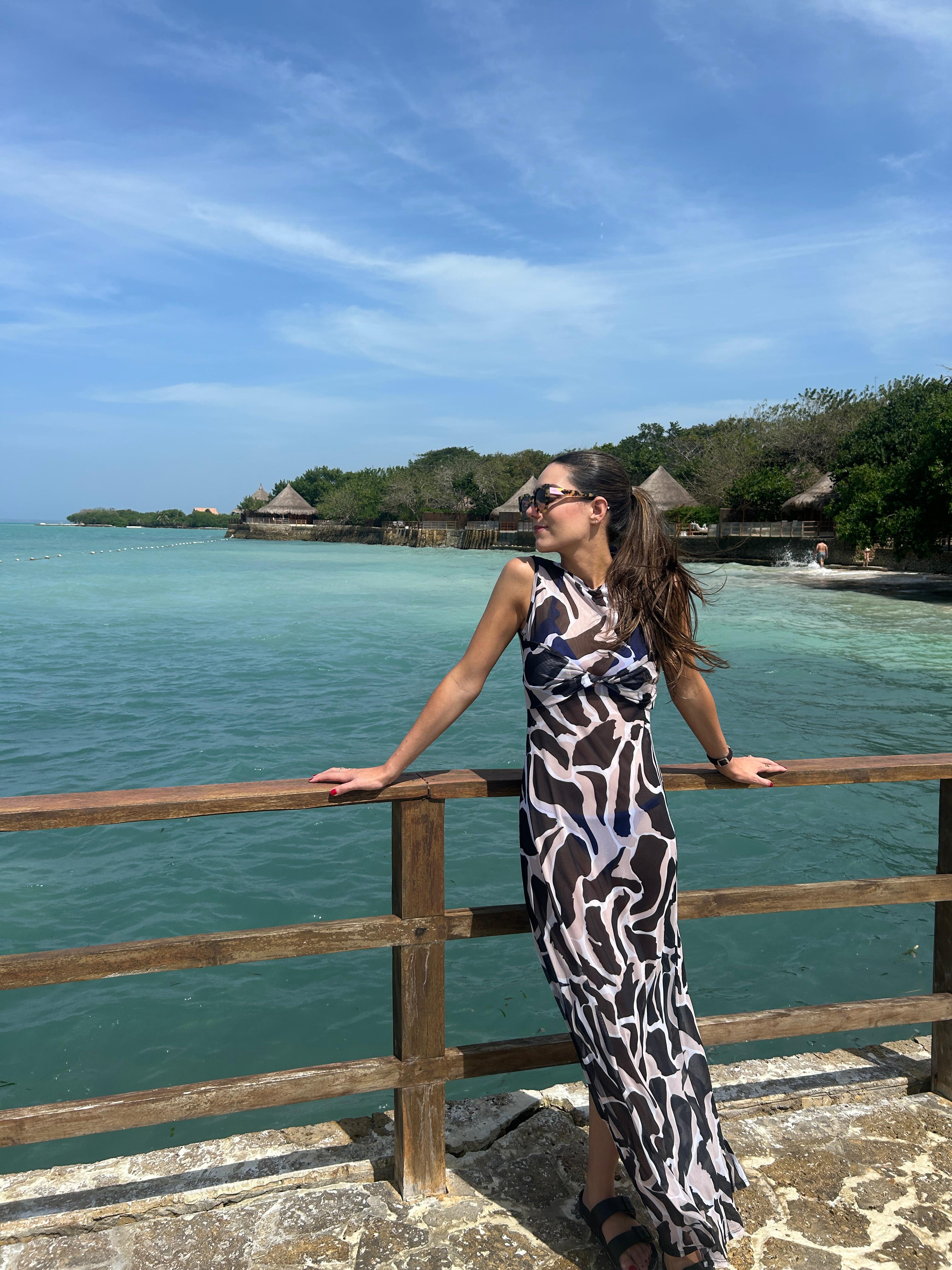 Vestido Paulina - Negro&Beige
